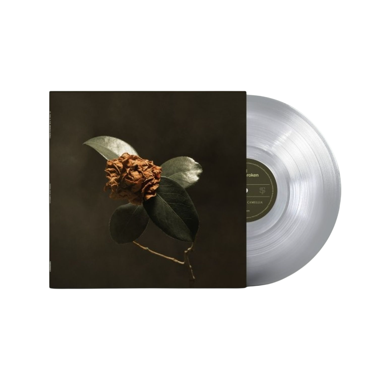 VINILO ST. PAUL & THE BROKEN BONES - YOUNG SICK CAMELLIA (ULTRA CLEAR VINYL)