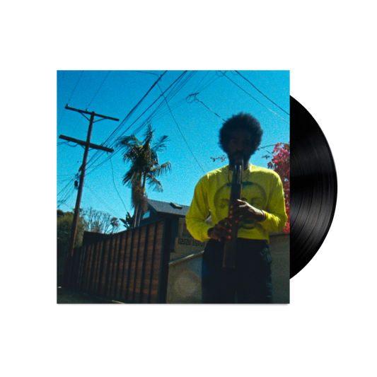 VINILO ANDRE 3000 - MOVING DAY