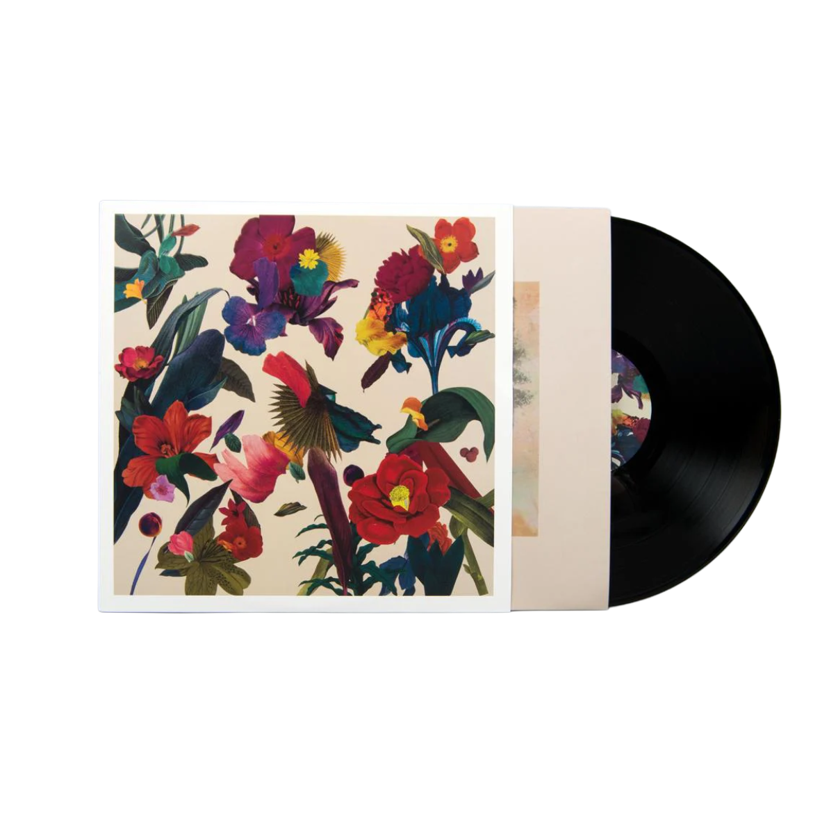 VINILO WASHED OUT - PARACOSM