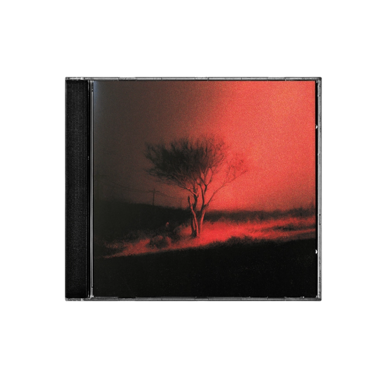 CD JOJI - PISS IN THE WIND