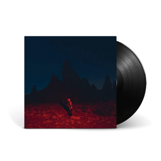 VINILO PHOEBE BRIDGERS - PUNISHER