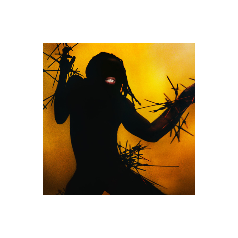 CD YOUNG FATHERS - HEAVY HEAVY