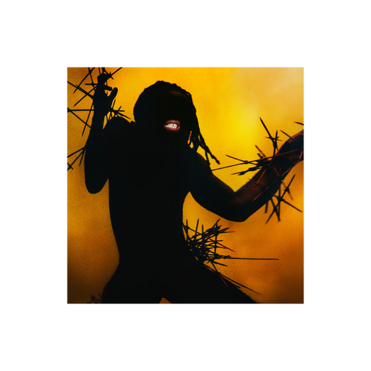 CD YOUNG FATHERS - HEAVY HEAVY