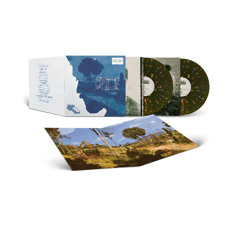 VINILO ZAYN - ROOM UNDER THE STAIRS (FOREST GREEN/NEON SPLATTER VINYL/2LP)