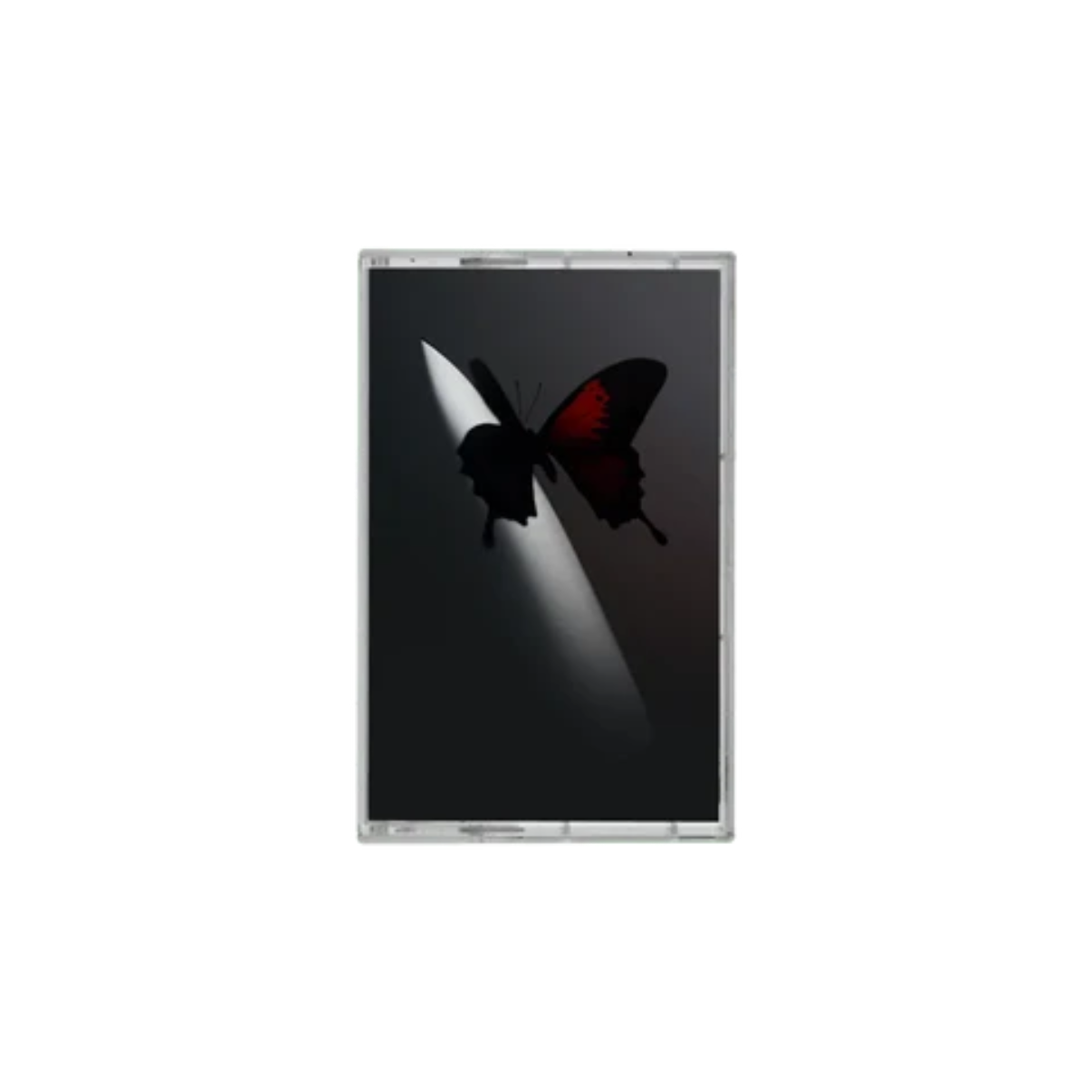 07C90EBD-5085-4BBC-9DED-9AF8E6272280.png