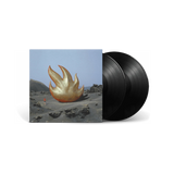 Vinilo Audioslave - Audioslave (2LP)