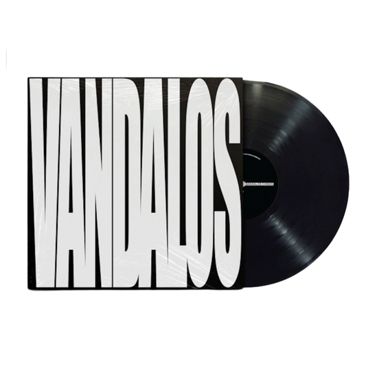 VINILO BANDALOS CHINOS - VANDALOS