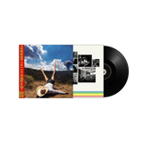 Vinilo Geese - 3D Country