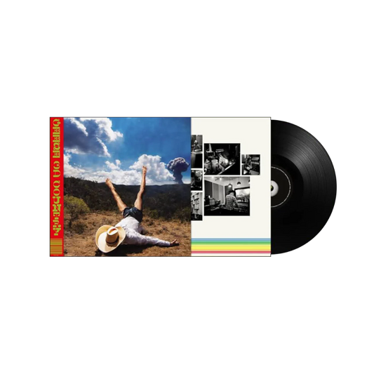 VINILO GEESE - 3D COUNTRY