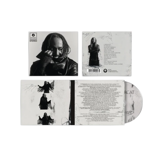 CD THUNDERCAT - DISTRACTED