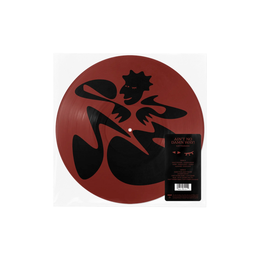 VINILO KAYTRANADA - AIN'T NO DAMN WAY! (INVERTED COLORWAY PICTURE DISC) (RSD 2026)