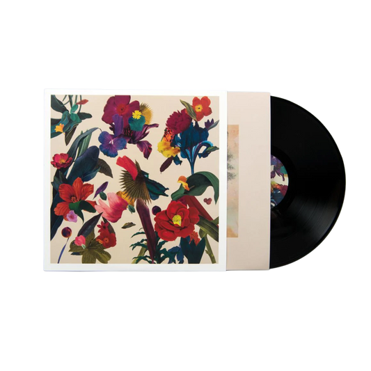 VINILO WASHED OUT - PARACOSM