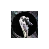 CD Arcade Fire - Reflektor (2CD)