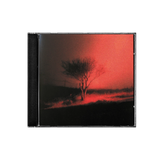 CD Joji - Piss In The Wind