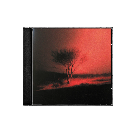 CD JOJI - PISS IN THE WIND