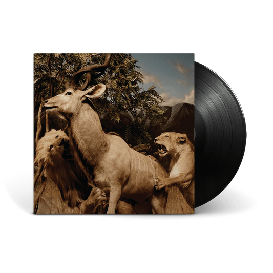Vinilo Interpol - Our Love to Admire (2LP)