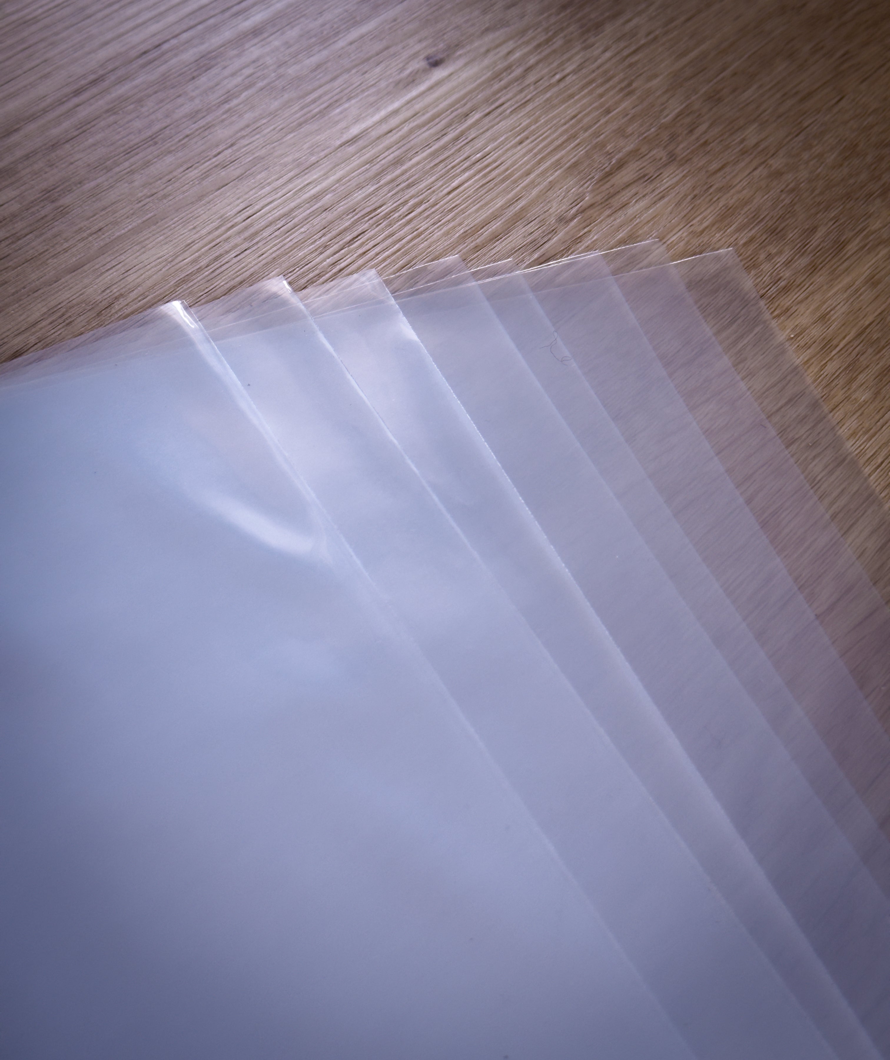 Fundas Exteriores para Vinilo BCW 3mm (Pack 10)