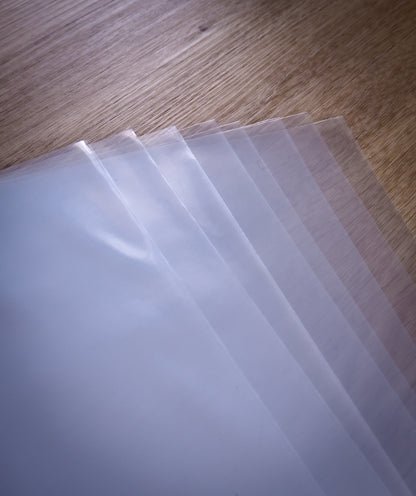 Fundas Exteriores para Vinilo BCW 3mm (Pack 10)